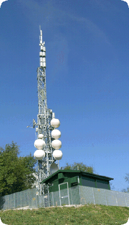 album1001004.gif