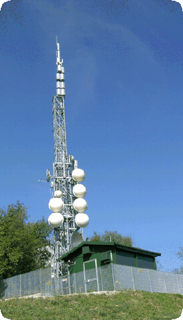 album1004002.gif